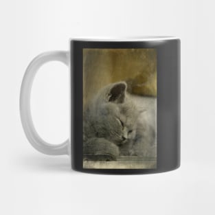 Sweet Little Grey Kitten Mug